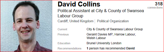 David Collins