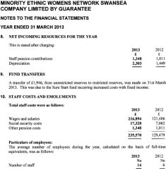 Mewn Staff Costs